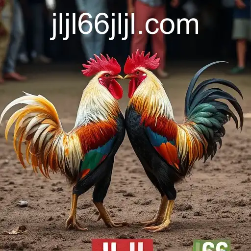 Security and Trust JLJL66 - International Licenses and Certifications